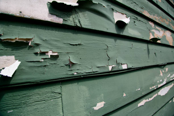 Best Fiber Cement Siding Installation  in Annandale, NJ