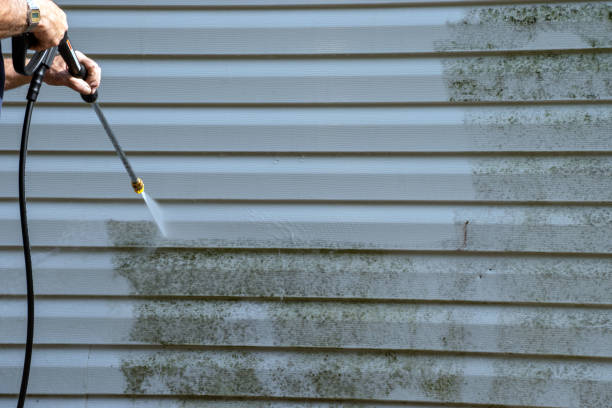 Best Steel Siding Installation  in Annandale, NJ