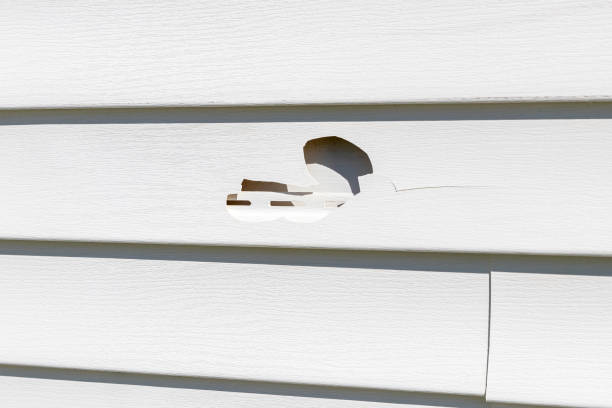 Best Steel Siding Installation  in Annandale, NJ
